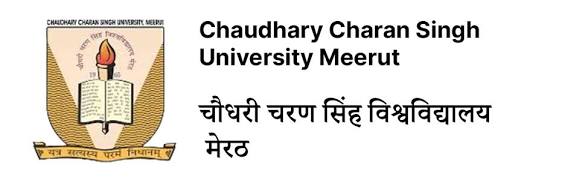 Partner university logo